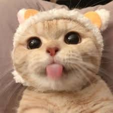 Kevin Sanjaya avatar