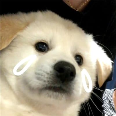 Fajar Nugroho avatar