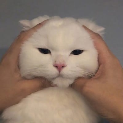 Wawan Setiawan avatar