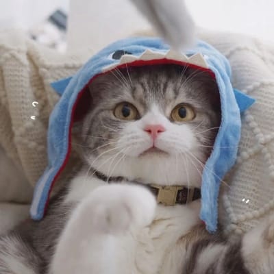 Andi Prasetyo avatar