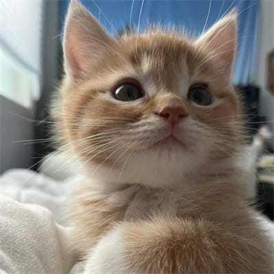 Aditya Saputra avatar